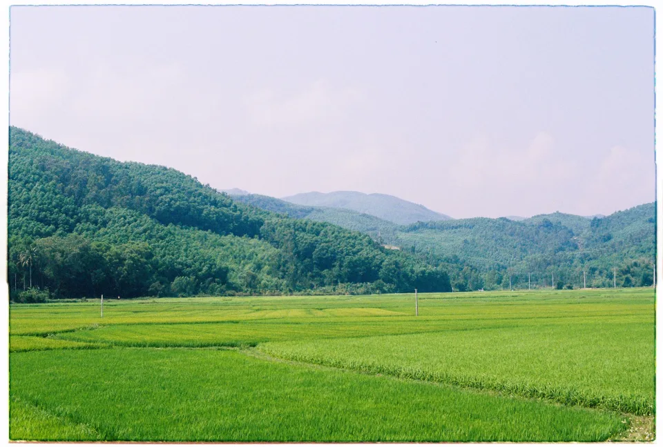 Kho gạo của Nguyễn Thị Thu Thủy